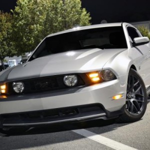 My Mustang