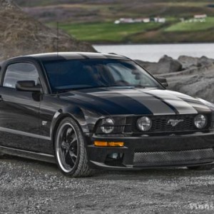 Mustang