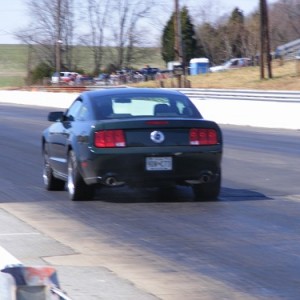 Bullitt