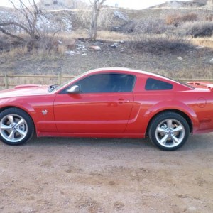 Stang