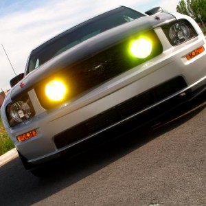 Stang!