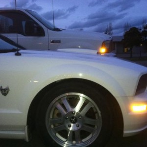 White's S197
