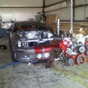 Oklahoma's Eleanor