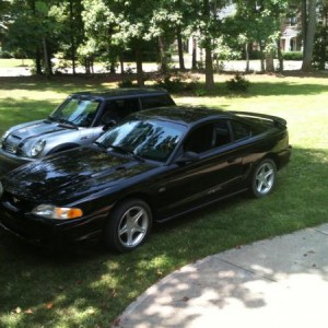 My Mustangs