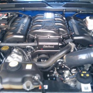 My Edelbrock Supercharged Mustang