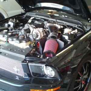 New Mods