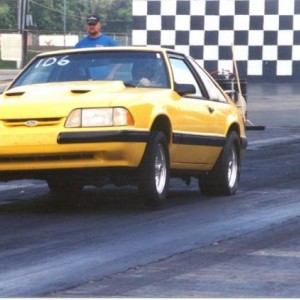 Last Mustang
