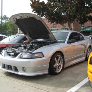 Mustangs