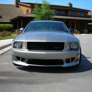 My Mustangs