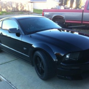 Mustang