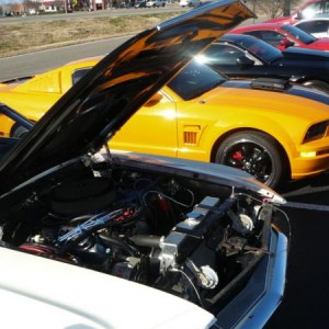 Mustang