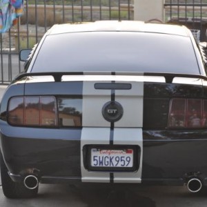 Mustang GT