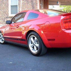 newest with gt bumper
