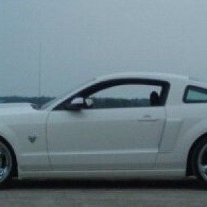 my 2009 s197