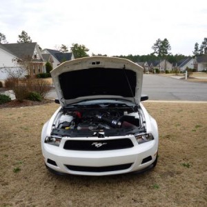 2011 Mustang V6 and 2012 Mustang 5.0