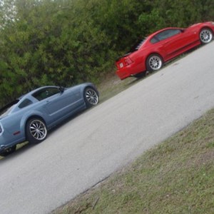my stang