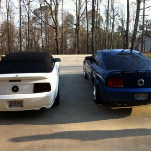 My Stang