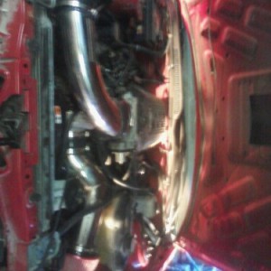 my mustang