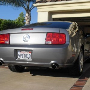 New Stang