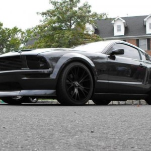 mustang