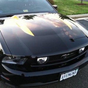2012 5.0