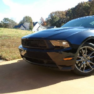 Stock