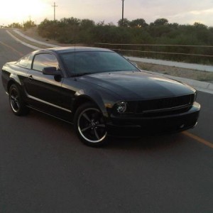 Bullitt 6351