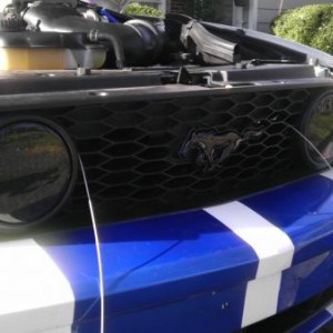 2005 Mustang Gt