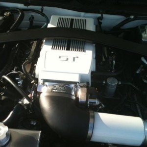 2006 mustang
