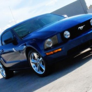 The stang