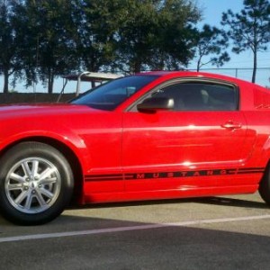 My mustang