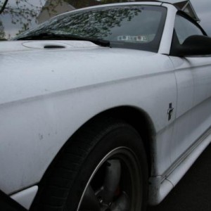 1995 Mustang