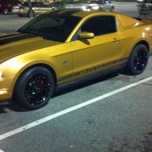 2010 gt mustang