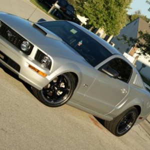 stang