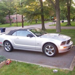 Mustang