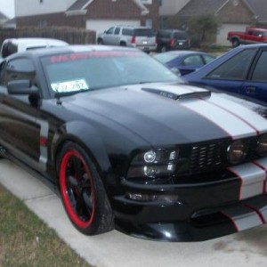 08 stang gt