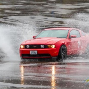 Race Red Pony