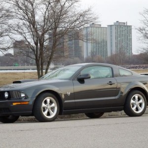 2009 GT