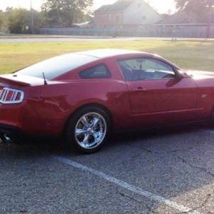 My Stang