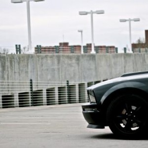 2007 Regency Mustang