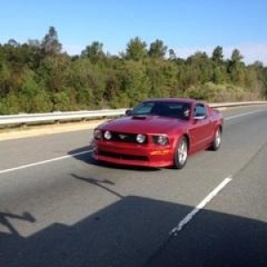06 gt  "Ellie Mae"