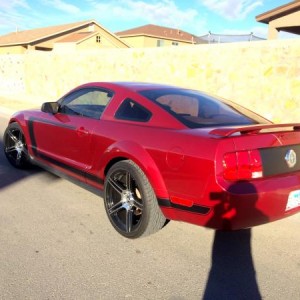 My Mustang
