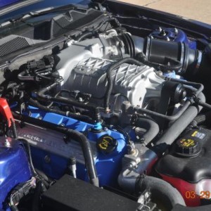 Blue Angel...my 2014 Mustang Shelby GT 500