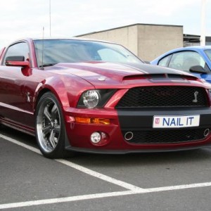 GT Venom