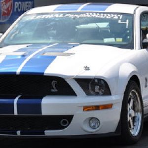 Mustangs
