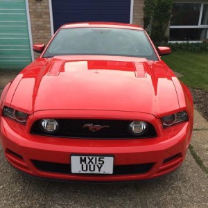 First Mustang UK