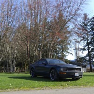Bullitt #5727