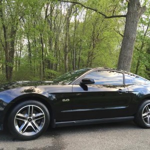 12' GT