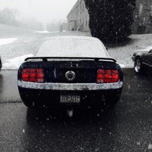 07 GT