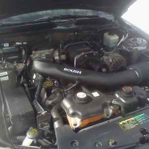 Miscellaneous Pictures